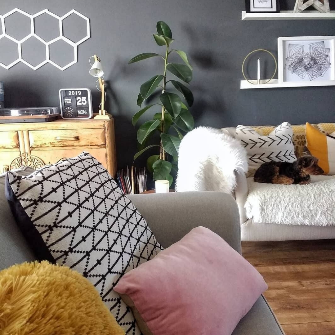 Pat McDonnell Paints Ireland's Brightest Paint Stores